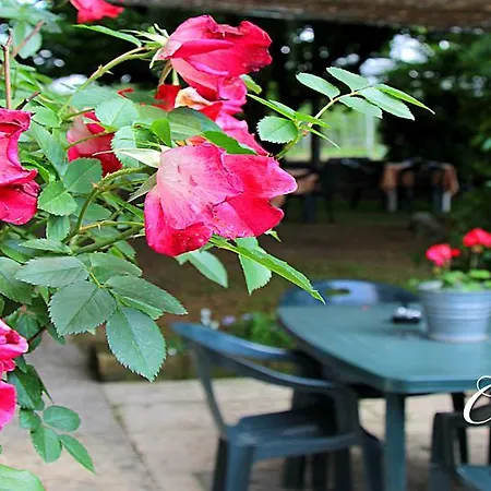 Agriturismo Ca'Mattei-3